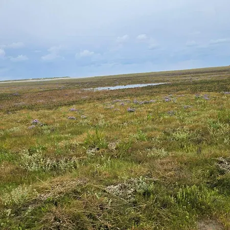 Exclusive Retreat With - By Traum Rømø Kirkeby