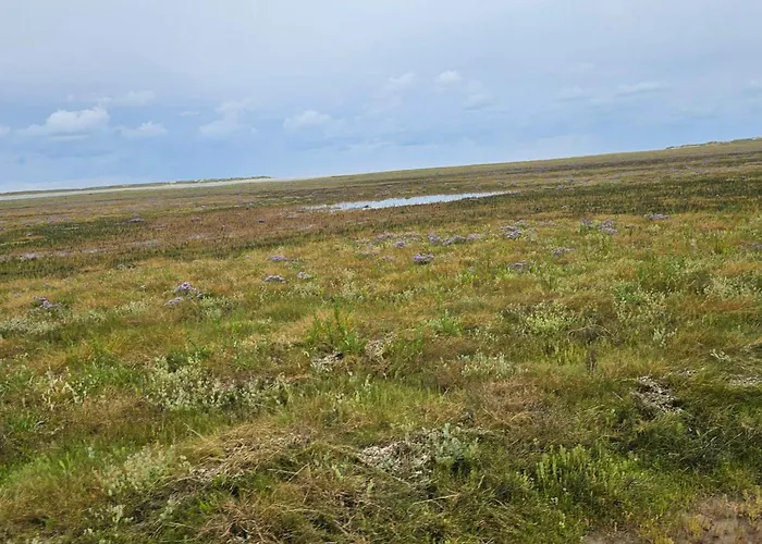 Exclusive Retreat With - By Traum Rømø Kirkeby